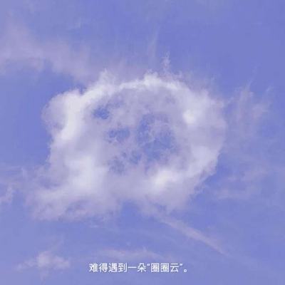 风驰幽林手游bt版下载