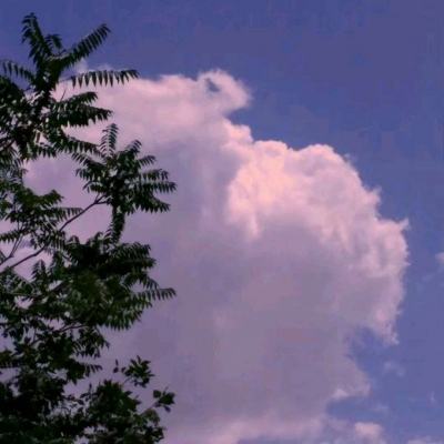 荣耀之剑bt百抽版下载